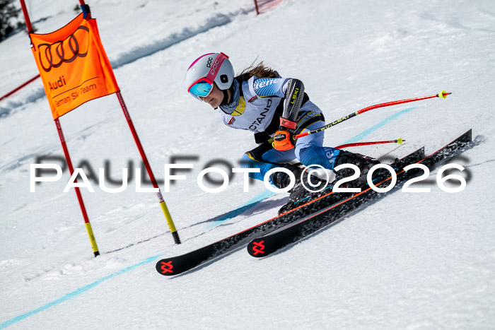 DSV - Actanol Deutscher Schülercup U12 Finale RSX 2026