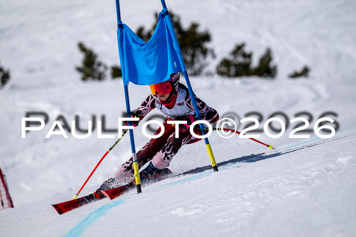 DSV - Actanol Deutscher Schülercup U12 Finale RSX 2026