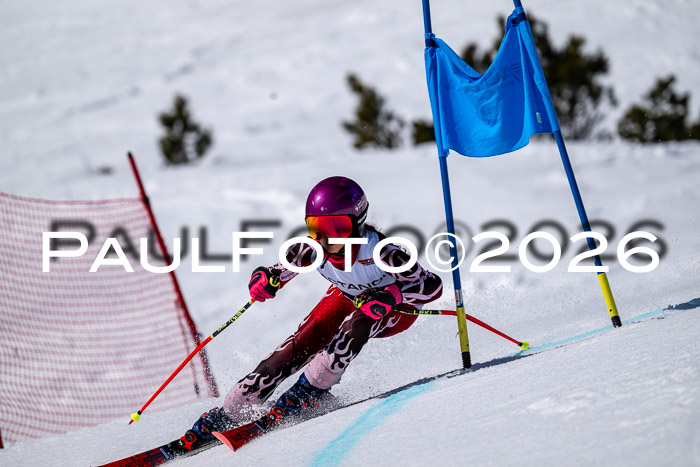 DSV - Actanol Deutscher Schülercup U12 Finale RSX 2026