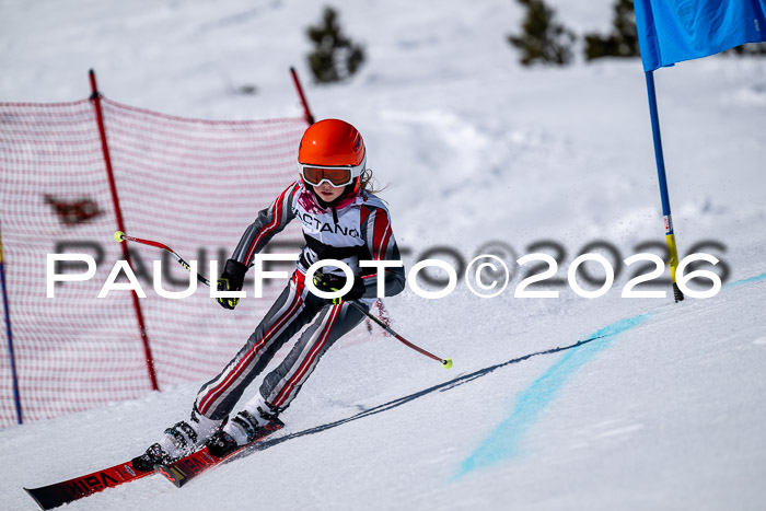 DSV - Actanol Deutscher Schülercup U12 Finale RSX 2026
