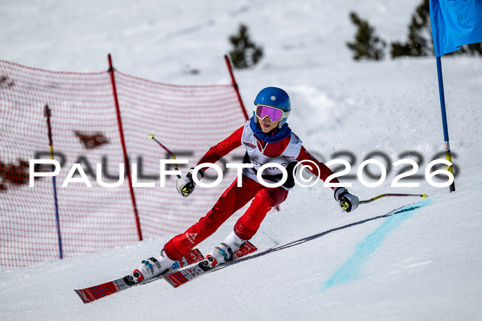 DSV - Actanol Deutscher Schülercup U12 Finale RSX 2026