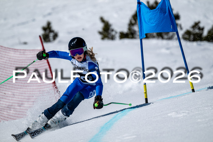 DSV - Actanol Deutscher Schülercup U12 Finale RSX 2026