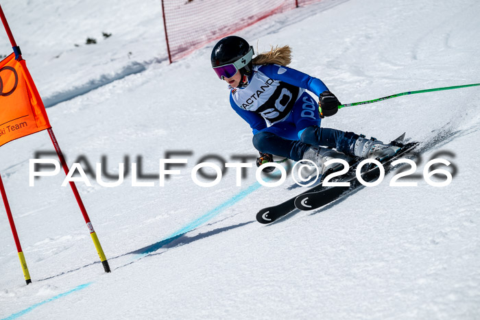 DSV - Actanol Deutscher Schülercup U12 Finale RSX 2026