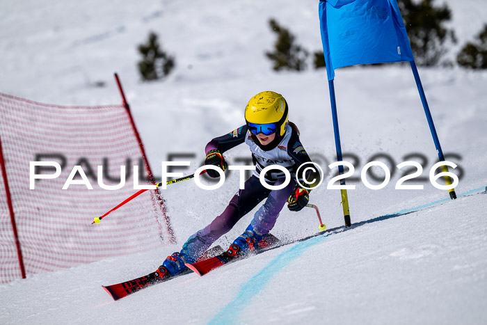 DSV - Actanol Deutscher Schülercup U12 Finale RSX 2026