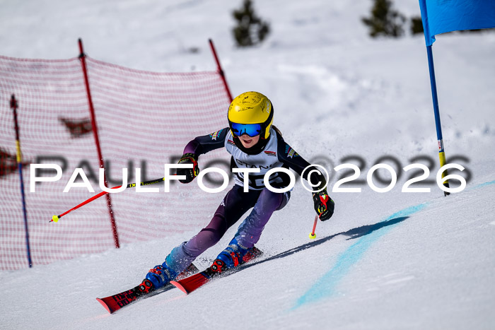 DSV - Actanol Deutscher Schülercup U12 Finale RSX 2026