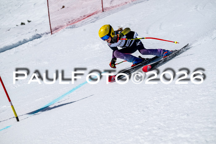 DSV - Actanol Deutscher Schülercup U12 Finale RSX 2026