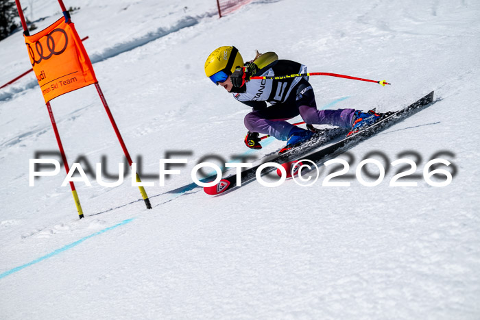 DSV - Actanol Deutscher Schülercup U12 Finale RSX 2026