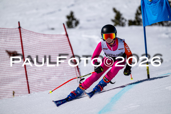 DSV - Actanol Deutscher Schülercup U12 Finale RSX 2026