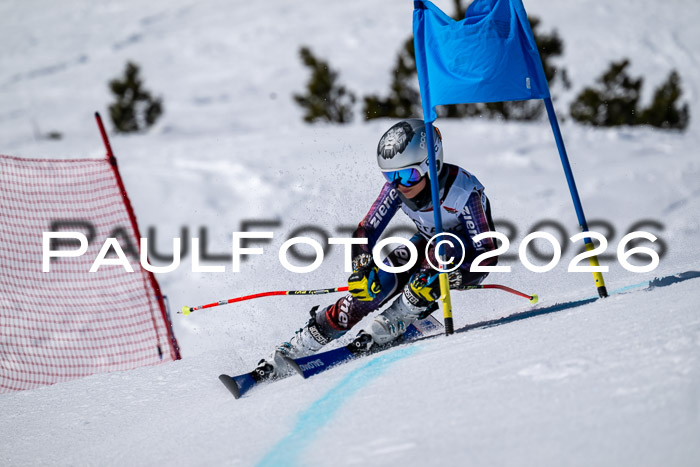 DSV - Actanol Deutscher Schülercup U12 Finale RSX 2026