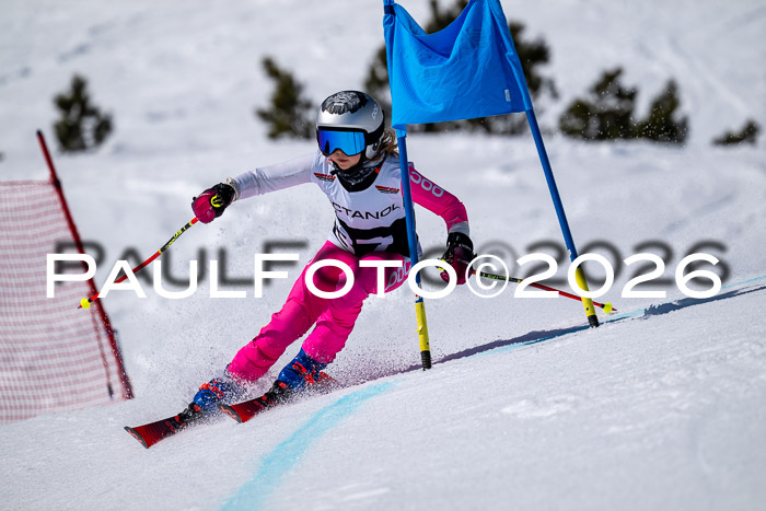 DSV - Actanol Deutscher Schülercup U12 Finale RSX 2026