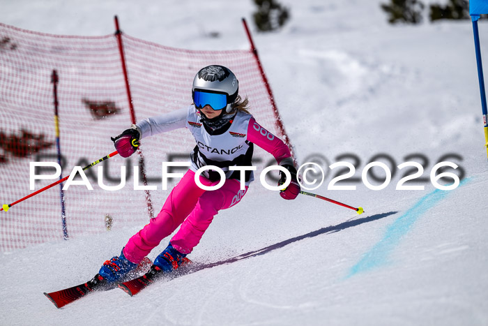 DSV - Actanol Deutscher Schülercup U12 Finale RSX 2026