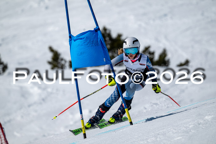 DSV - Actanol Deutscher Schülercup U12 Finale RSX 2026