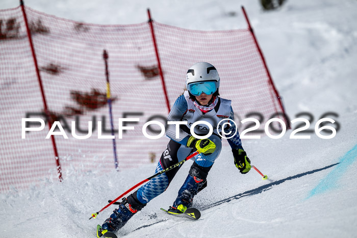 DSV - Actanol Deutscher Schülercup U12 Finale RSX 2026
