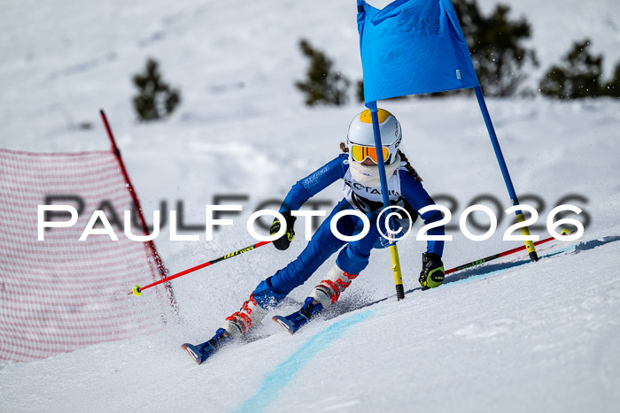 DSV - Actanol Deutscher Schülercup U12 Finale RSX 2026