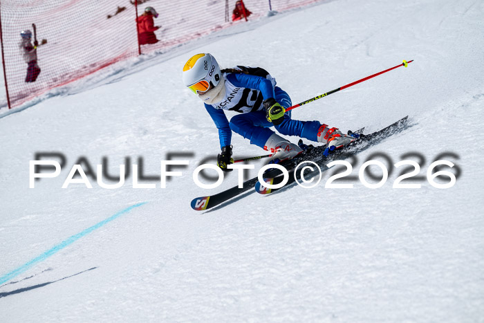 DSV - Actanol Deutscher Schülercup U12 Finale RSX 2026