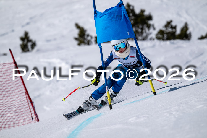 DSV - Actanol Deutscher Schülercup U12 Finale RSX 2026