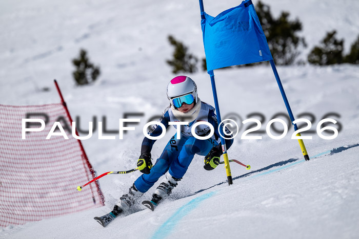 DSV - Actanol Deutscher Schülercup U12 Finale RSX 2026