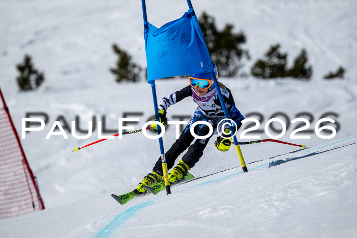 DSV - Actanol Deutscher Schülercup U12 Finale RSX 2026