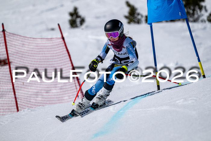 DSV - Actanol Deutscher Schülercup U12 Finale RSX 2026