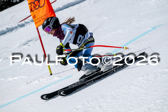 DSV - Actanol Deutscher Schülercup U12 Finale RSX 2026