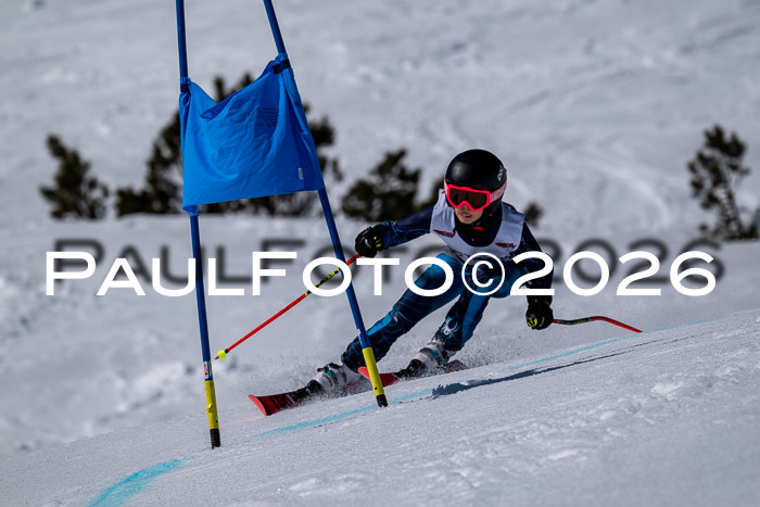 DSV - Actanol Deutscher Schülercup U12 Finale RSX 2026