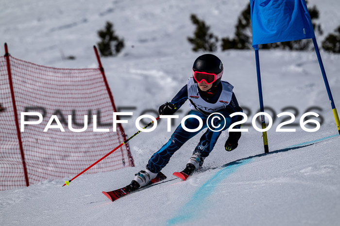 DSV - Actanol Deutscher Schülercup U12 Finale RSX 2026