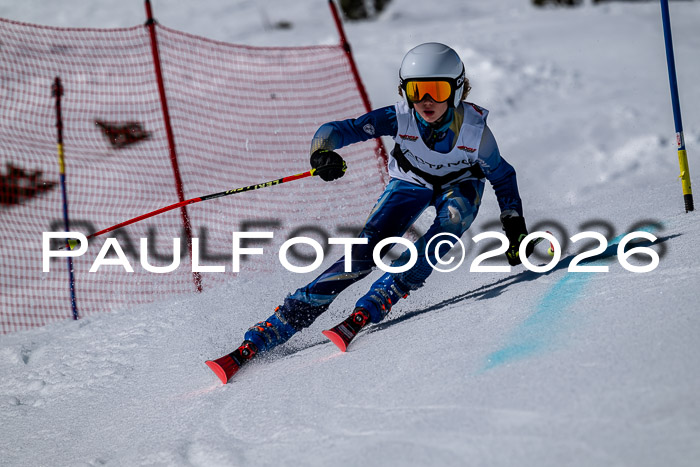 DSV - Actanol Deutscher Schülercup U12 Finale RSX 2026