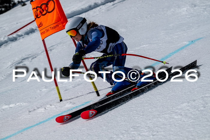 DSV - Actanol Deutscher Schülercup U12 Finale RSX 2026