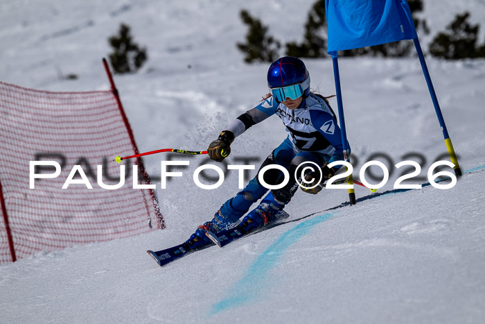 DSV - Actanol Deutscher Schülercup U12 Finale RSX 2026