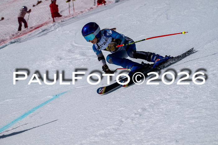 DSV - Actanol Deutscher Schülercup U12 Finale RSX 2026