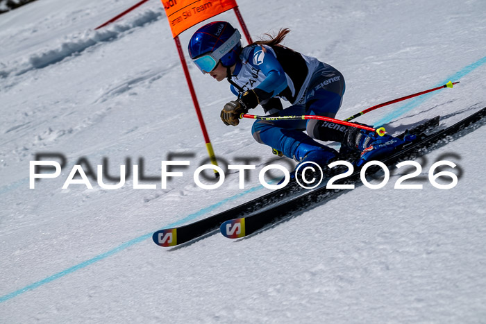 DSV - Actanol Deutscher Schülercup U12 Finale RSX 2026