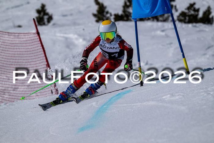 DSV - Actanol Deutscher Schülercup U12 Finale RSX 2026