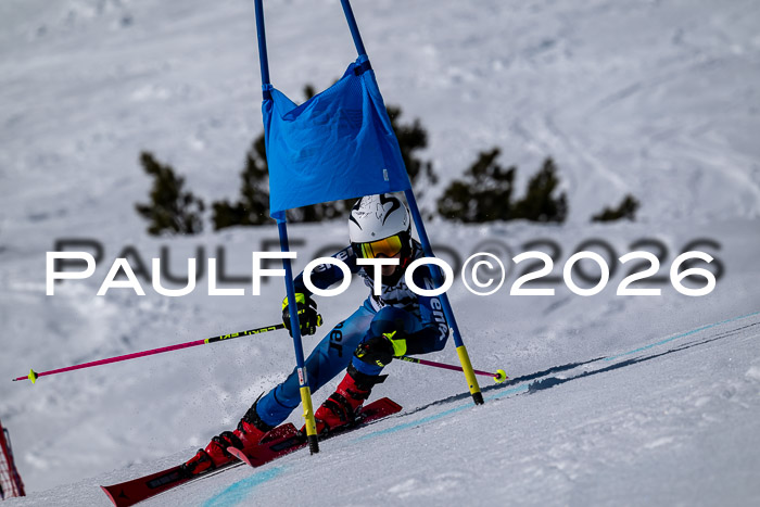 DSV - Actanol Deutscher Schülercup U12 Finale RSX 2026