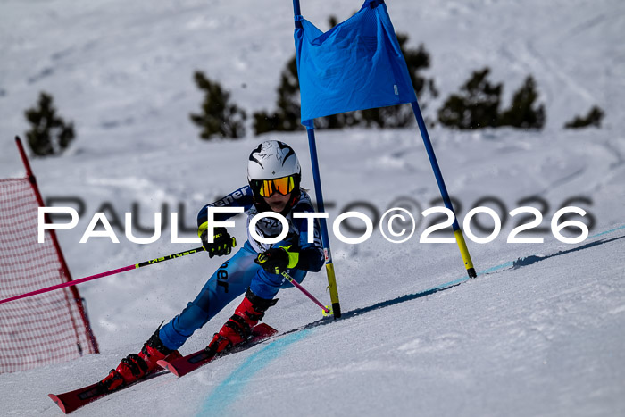 DSV - Actanol Deutscher Schülercup U12 Finale RSX 2026