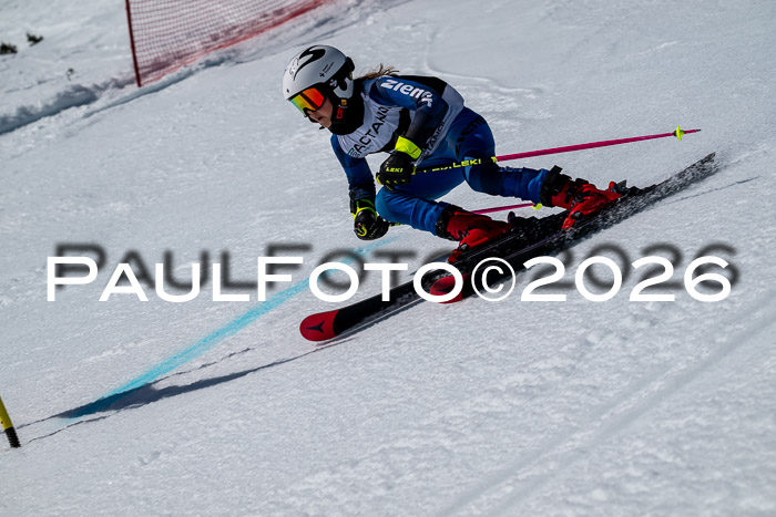 DSV - Actanol Deutscher Schülercup U12 Finale RSX 2026