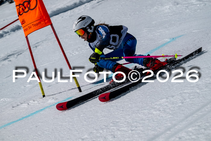 DSV - Actanol Deutscher Schülercup U12 Finale RSX 2026