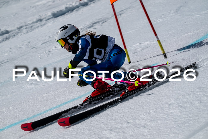 DSV - Actanol Deutscher Schülercup U12 Finale RSX 2026