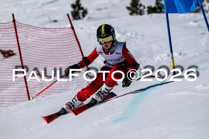 DSV - Actanol Deutscher Schülercup U12 Finale RSX 2026