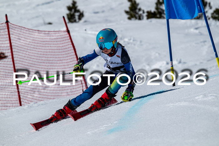 DSV - Actanol Deutscher Schülercup U12 Finale RSX 2026