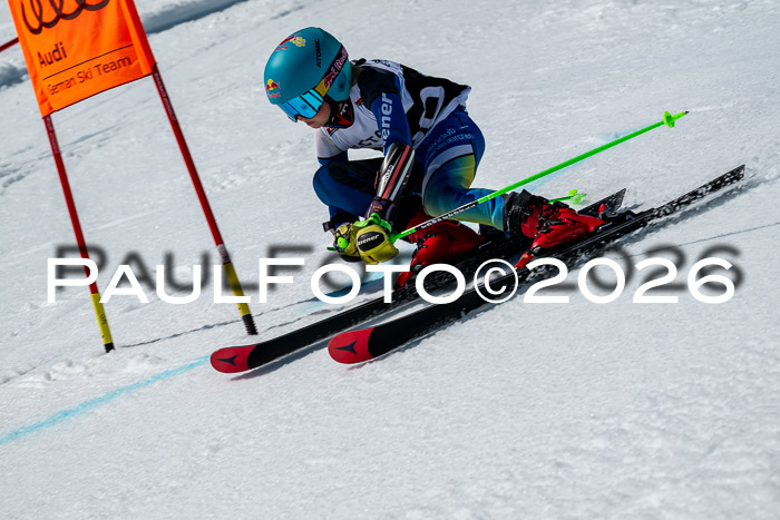DSV - Actanol Deutscher Schülercup U12 Finale RSX 2026