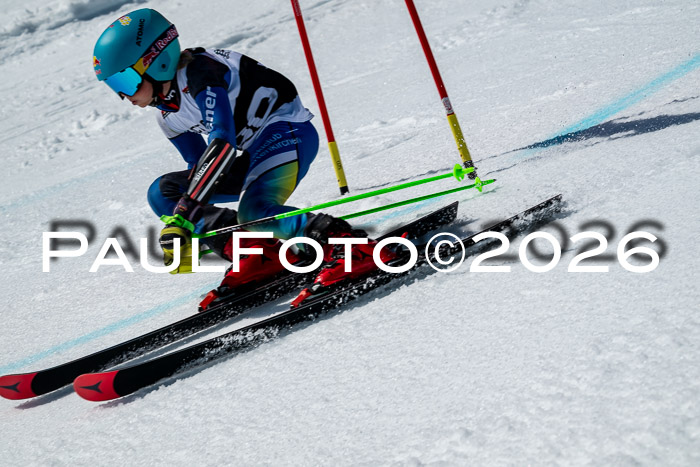 DSV - Actanol Deutscher Schülercup U12 Finale RSX 2026