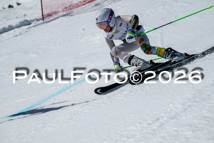 DSV - Actanol Deutscher Schülercup U12 Finale RSX 2026