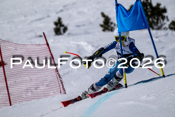 DSV - Actanol Deutscher Schülercup U12 Finale RSX 2026