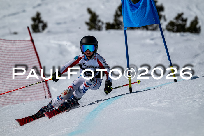 DSV - Actanol Deutscher Schülercup U12 Finale RSX 2026