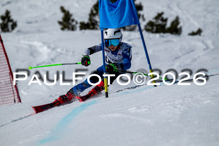 DSV - Actanol Deutscher Schülercup U12 Finale RSX 2026