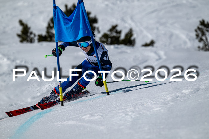 DSV - Actanol Deutscher Schülercup U12 Finale RSX 2026