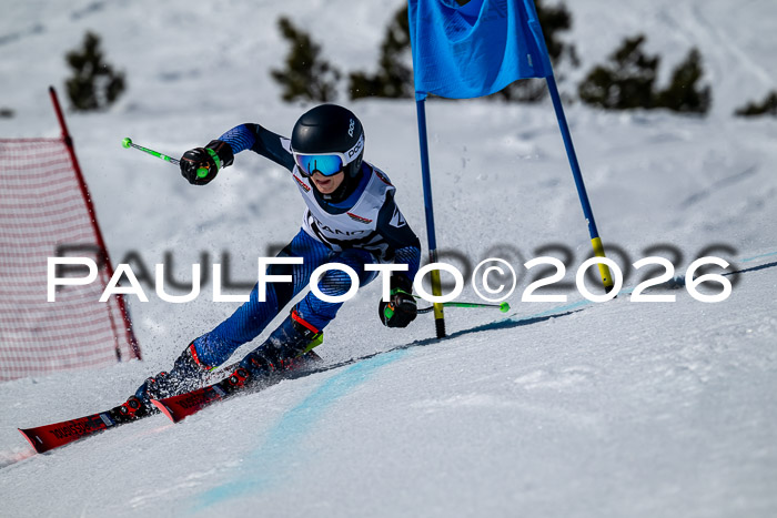 DSV - Actanol Deutscher Schülercup U12 Finale RSX 2026