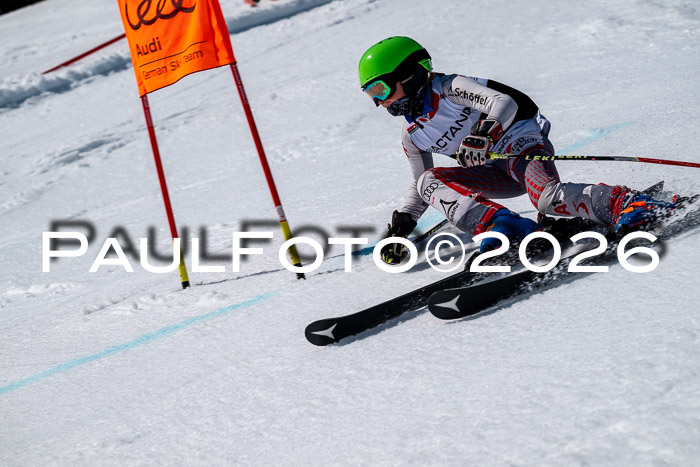 DSV - Actanol Deutscher Schülercup U12 Finale RSX 2026