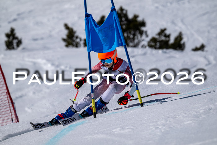 DSV - Actanol Deutscher Schülercup U12 Finale RSX 2026