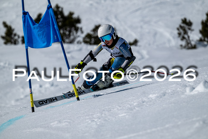 DSV - Actanol Deutscher Schülercup U12 Finale RSX 2026